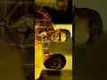 Download Lagu #bagheera pattukottai ammalu#viralbgm #viral #fullscreenwhatsappstatus