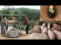 Lagu Digging wells and installing well frames to provide clean water for pig farming. ( Ep 409 )