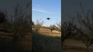 ArduPilot Lua scripting test