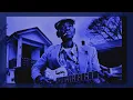 Download Lagu I Got the Blues ~ Sam Myers
