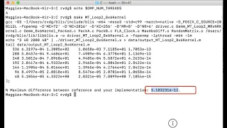 4 3 3 Parallelizing Loop 2