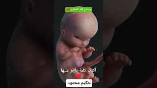 مراحل نمو الجنين في بطن امه سبحان الله العظيم 
