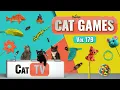 Download Lagu CAT Games | Ultieme Cat TV-compilatie Vol 179 | 8 UUR 🐝🐞🦋🦎🦜🐜🐭🧵
