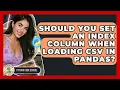 Should You Set An Index Column When Loading CSV In Pandas - Python Code School