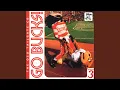 Go Bucks - New Dance Version