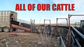 The Best And Worst Day For Any RANCHER...