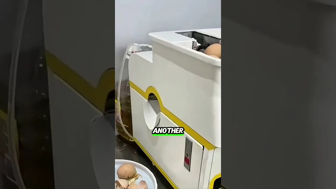 Egg frying technology