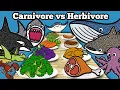 Carnivore vs Herbivore Sea Animals Let s Draw Color Sharks Whales and Learn Fun Animal Facts