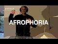 Download Lagu Afrophoria | 3-Step AfroHouse Mix | Byonik | Thakzin | Morda | Hypaphonik | China Charmeleon