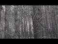 Download Lagu Tymah - Erdely (my video)