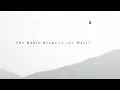 Download Lagu Zachary McLellan - The Robin Drops to the Water (Official Video)