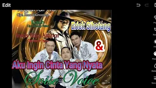 aku ingin cinta yang nyata soise voice feat erick sihotang official music video 