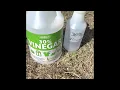 30 Vinegar Concentrate Weed Killer Harris Products Group Wow Really works for me