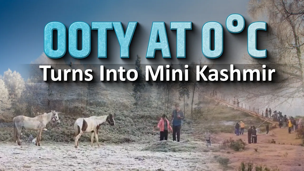 Ooty Turns Into Mini Kashmir | Nilgiris Freeze at 0°C | Frost Shocks Tourists