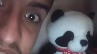 فوائد الدب عيد الحب 