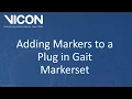 Nexus 2 tutorial - Adding markers to a Plug-In Gait Template