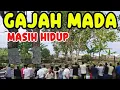 Lagu 🔴VIRAL GAJAH MADA MASIH HIDUP 