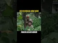 Download Lagu STORY WA PANCEN DLOGOK NJARAN #wokochannel #wokochannelterbaru #pakno #mukidi #pakndut #mintul