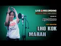 Download Lagu LHO KOK MARAH (Elvy Sukaesih) DANGDUT COVER by Ayu Sahara