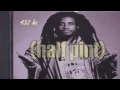 Half Pint - Substitute Lover - A=432hz