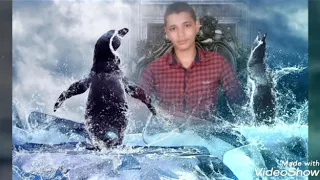 اغنيه ورقه وقلم تامر النرهي محمد اوشه مع ميشو حظ يا حظ ميشو مبت ابو خالد دندنها