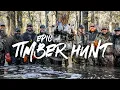 Download Lagu Epic Arkansas Flooded Timber Duck Hunt (GIANT GROUPS)