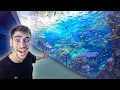 Download Lagu Georgia Aquarium - #1 Largest Aquarium in The World!! - (Private Tour)