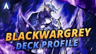 NEW BLAST COUNTER BlackWarGreymon ACE Deck Profile Combo Guide Digimon Card Game EX10