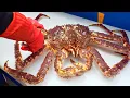 Download Lagu Verbazingwekkend!Gigantische koningskrab snijdende meester,Luxe sashimi,Krab gebakken rijst