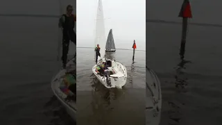 Chili Chase Regatta #shorts