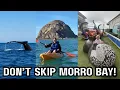 10 BEST Things to Do in Morro Bay California