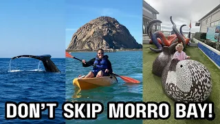 10 BEST Things to Do in Morro Bay California