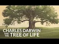 Download Lagu What Was The Last Common Ancestor of all Life on Earth?