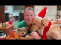 A Holiday Thank You from Pet Supermarket