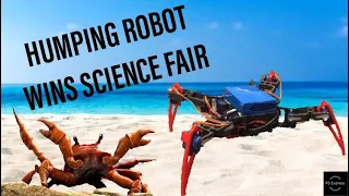 Download 3D Printed Robot Bops to Crab Rave MP3