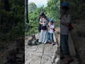 Download Lagu DETIK-DETIK TAS AKU DITARIK MONYET 🐒😫