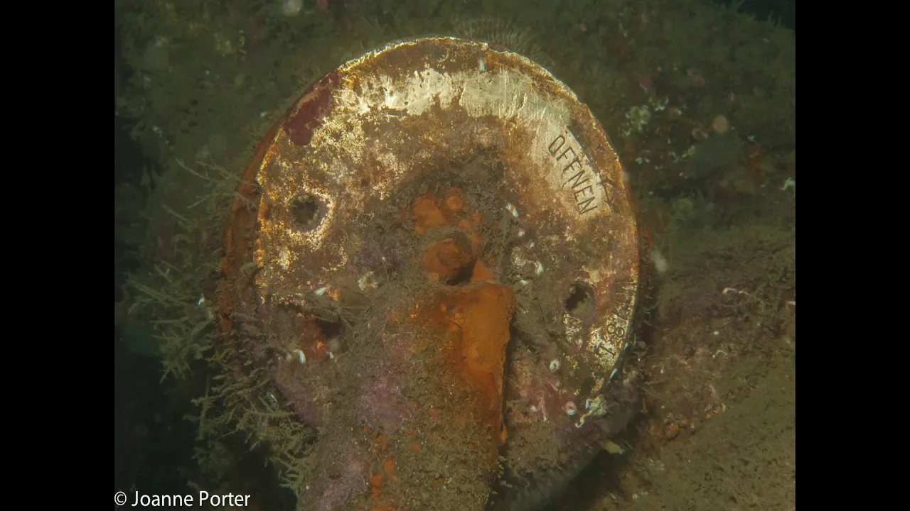 DR JOANNE PORTER/DR ANDREW WANT Below the Flow: Marine life on the wrecks and ‘blue carbon’ habitats