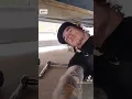2013 Ford f150 fuel pump removal