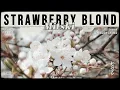 Mitski - Strawberry Blond [ LYRICS terjemahan Indonesia ]