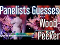 Download Lagu Panelists Guesses on Woodpecker / The Masked Singer USA Season 12 Ep. 3