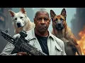 The Equalizer 4 2026 Denzel Washington Blockbuster Movie Full Facts Story Review