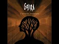 L'enfant sauvage - Gojira