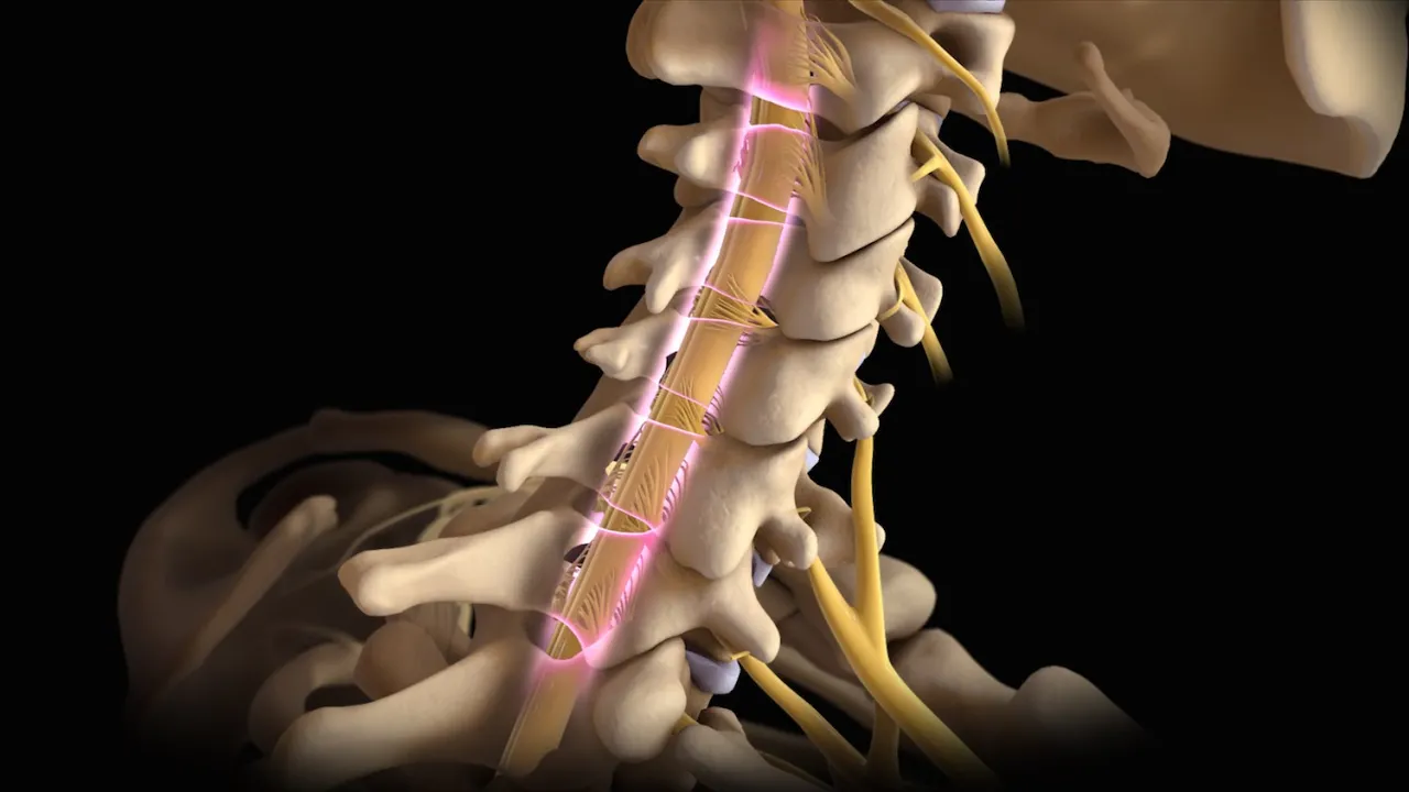 Neck Pain, Cervical Disc Herniation & Radiculopathy-Everything You Need To Know - Dr. Nabil Ebraheim. 