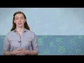 UML Deployment Diagram Software Architecture System Design