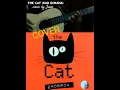 Download Lagu The Cat kau di mana Cover MP3