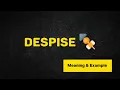 What Does DESPISE Means Meanings And Definitions in ENGLISH
