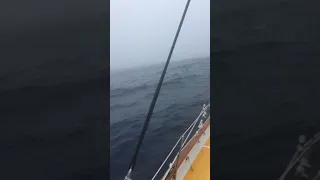 Southern Ocean Calms became very difficult after 200 days alone at sea.
