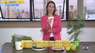 MORINGA OLEIFERA - Bom Dia Santa Catarina