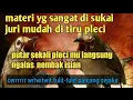 Download Lagu masteran pleci nembak rapat cerr witwitwit tulit-tulit!!