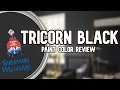 MY FAVORITE BLACK PAINT COLOR Sherwin Williams Tricorn Black